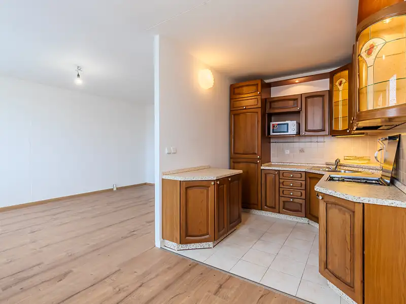 Pronájem bytu 3+kk 69 m², Praha – náhled fotky 1