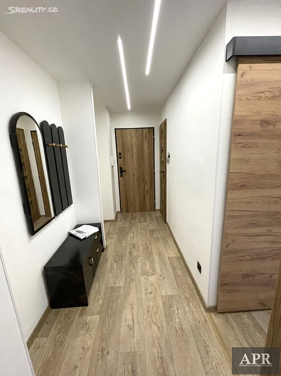 Pronájem bytu 2+1 53 m² – pohled 2