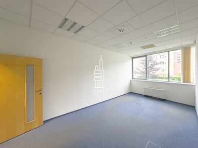 Gewerbefläche zur Miete, 235 m² (2 von 7)