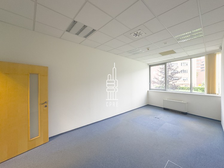 Gewerbefläche zur Miete, 235 m² (2 von 7)