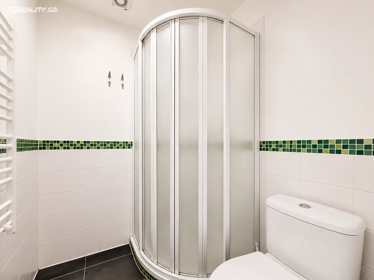 Pronájem bytu 1+kk 30 m² – pohled 6