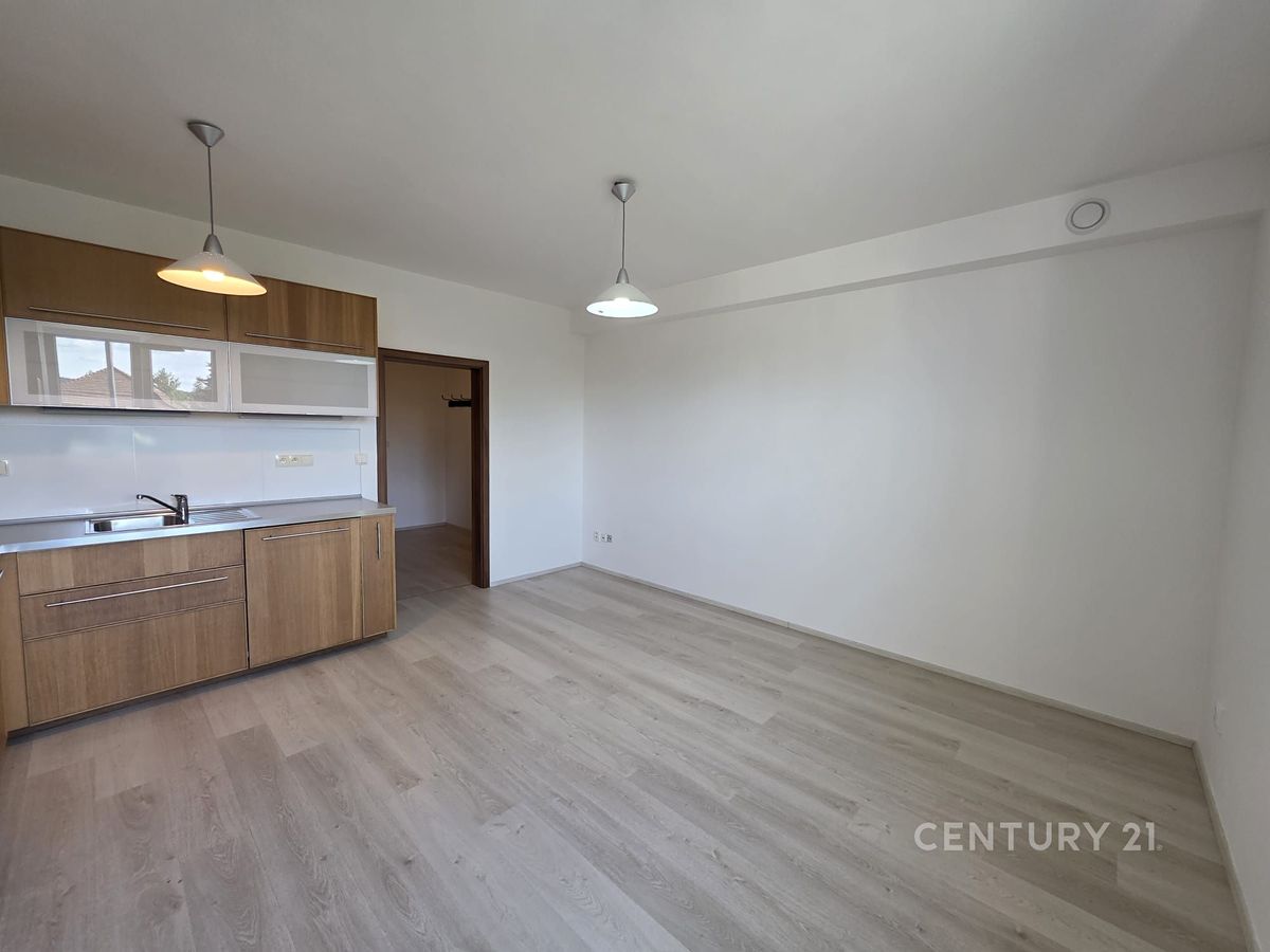 Pronájem bytu 1+1 58 m² – fotografie 3