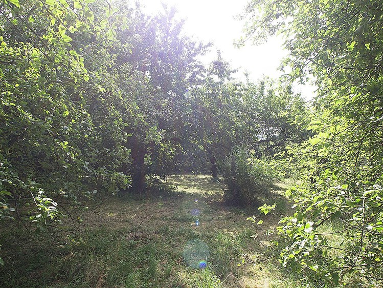 Prodej pozemku, 2 233 m² (5 z 11)