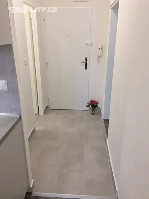 Pronájem bytu 1+1 36 m² – pohled 4