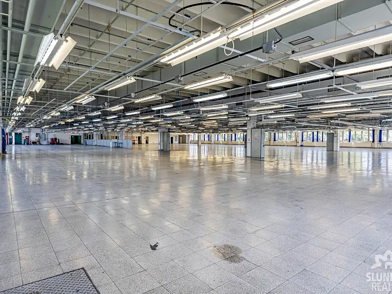 Pronájem skladového prostoru 900 m², Veselí nad Moravou – náhled fotky 2