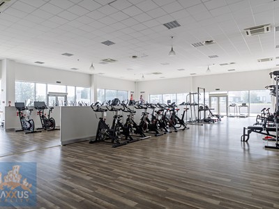 Pronájem obchodního prostoru 490 m²