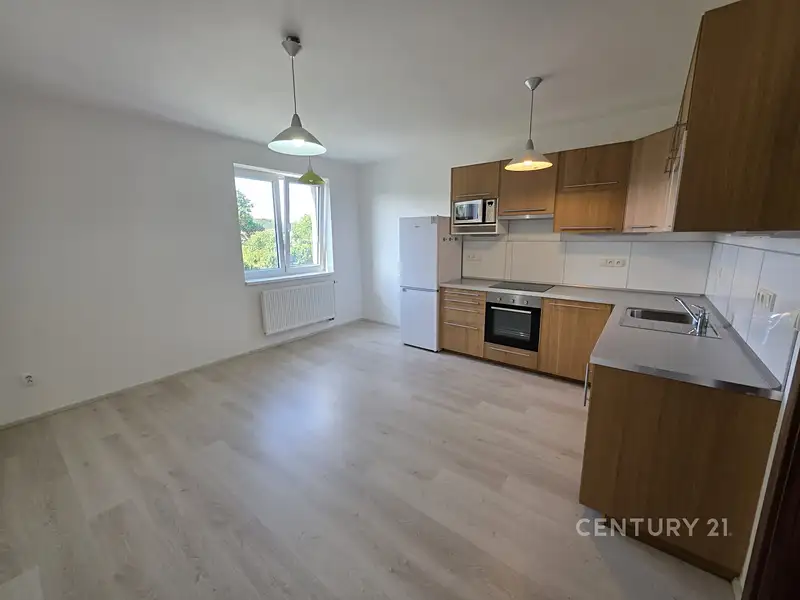 Pronájem bytu 1+1 58 m², Černošice – náhled fotky 2