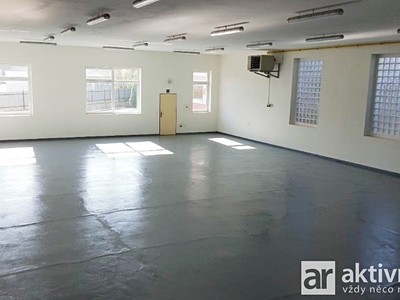 Gewerbefläche zur Miete, 316 m² (3 von 6)