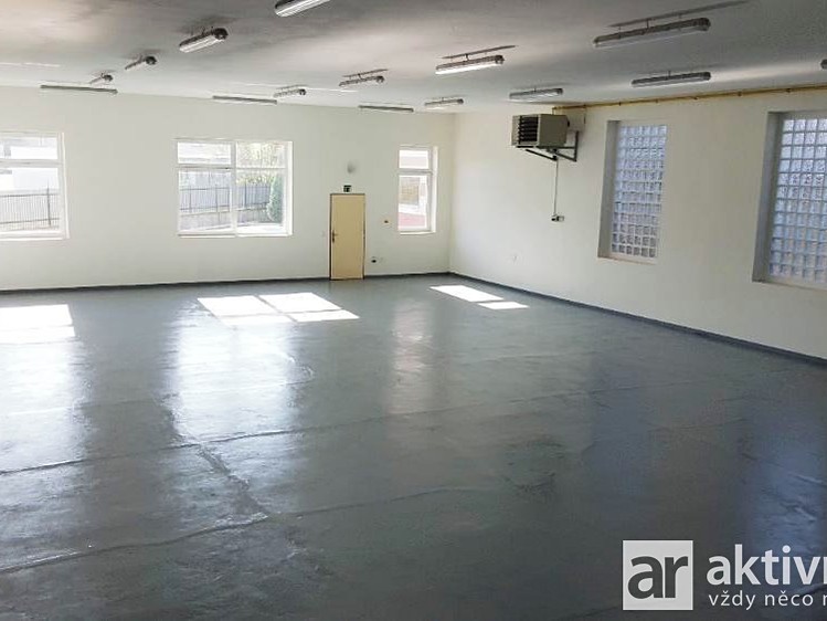 Gewerbefläche zur Miete, 316 m² (3 von 6)