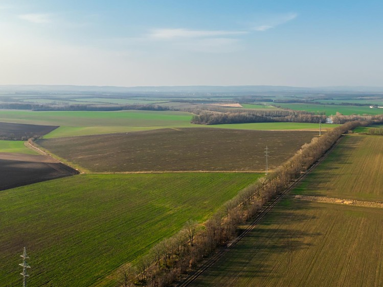 Ostatní