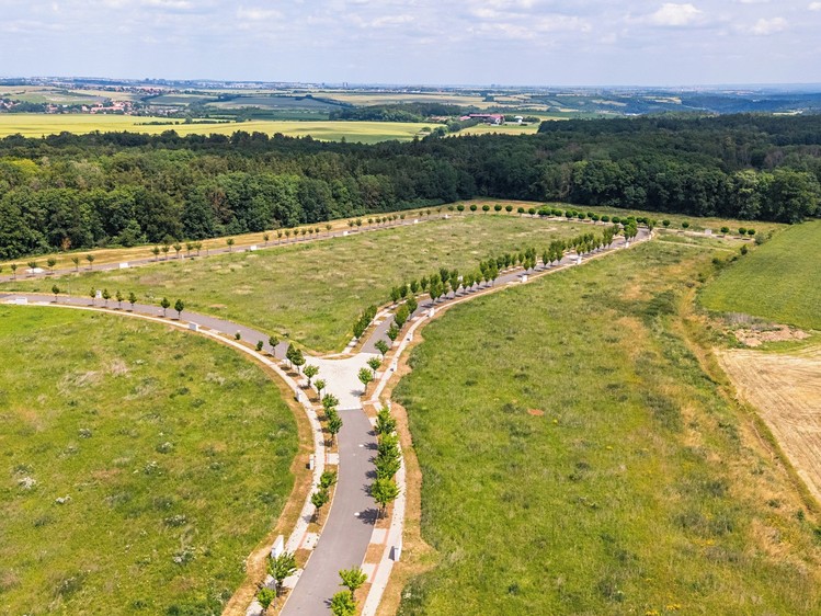 Ділянка на продаж, 1 178 м² (6 з 10)