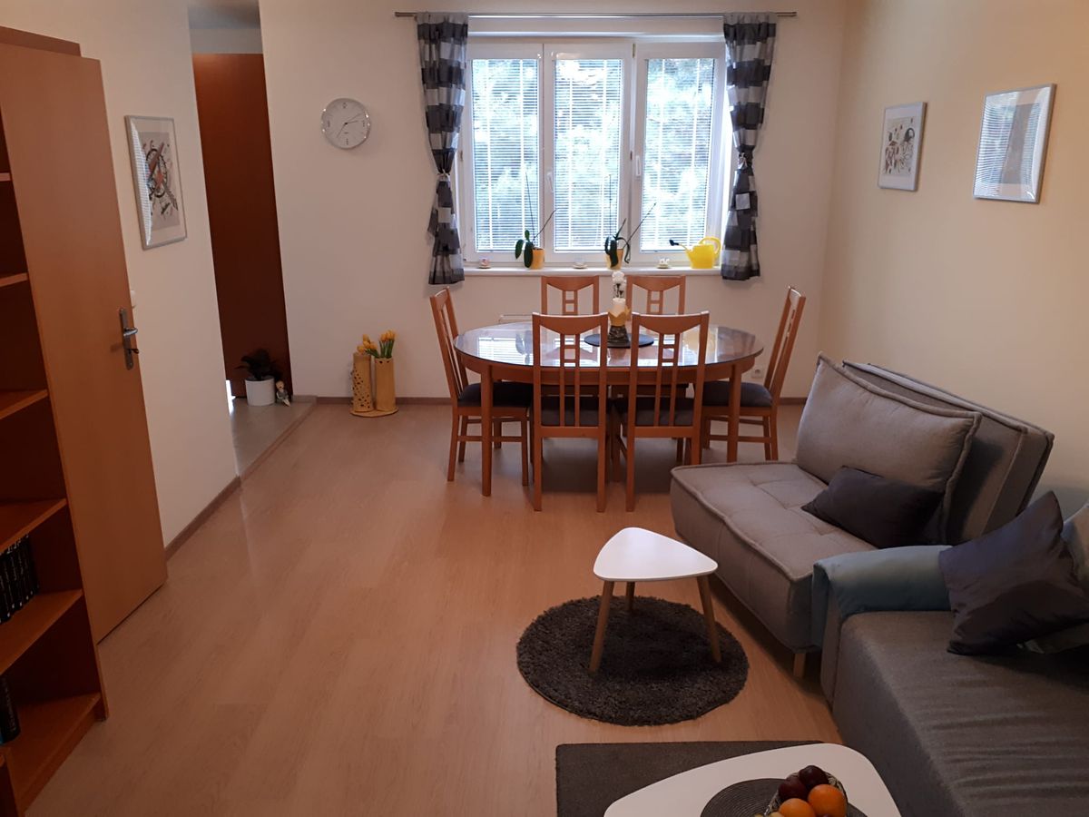 Pronájem bytu 2+kk 58 m²