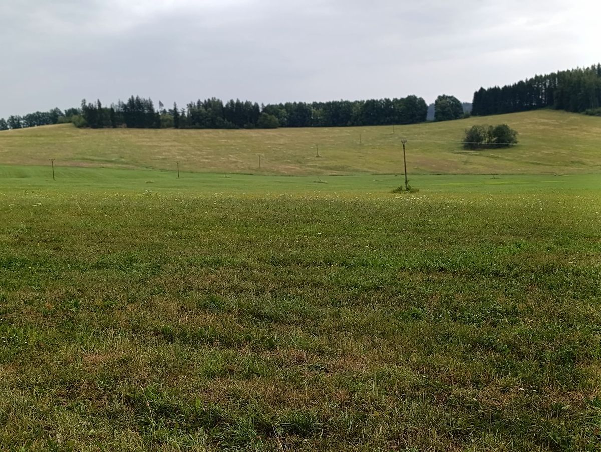 Prodej stavebního pozemku 9803 m² – fotografie 2