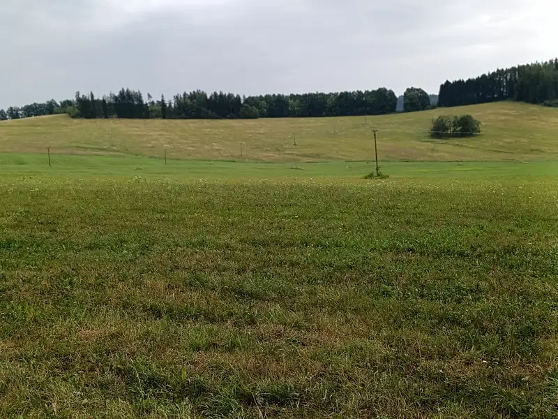 Prodej stavebního pozemku 6999 m², Malšín – náhled fotky 2