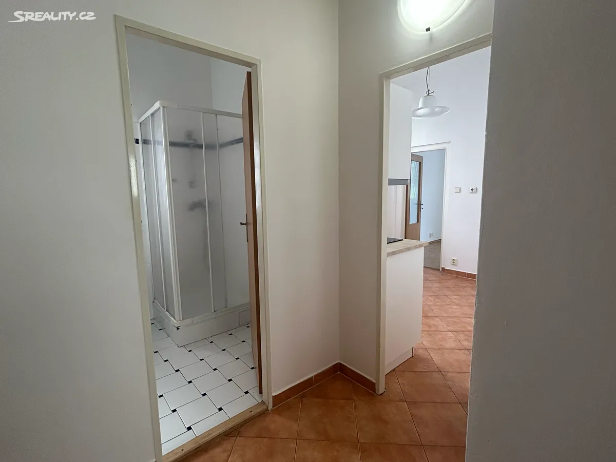 Pronájem bytu 1+1 32 m² - Więcej