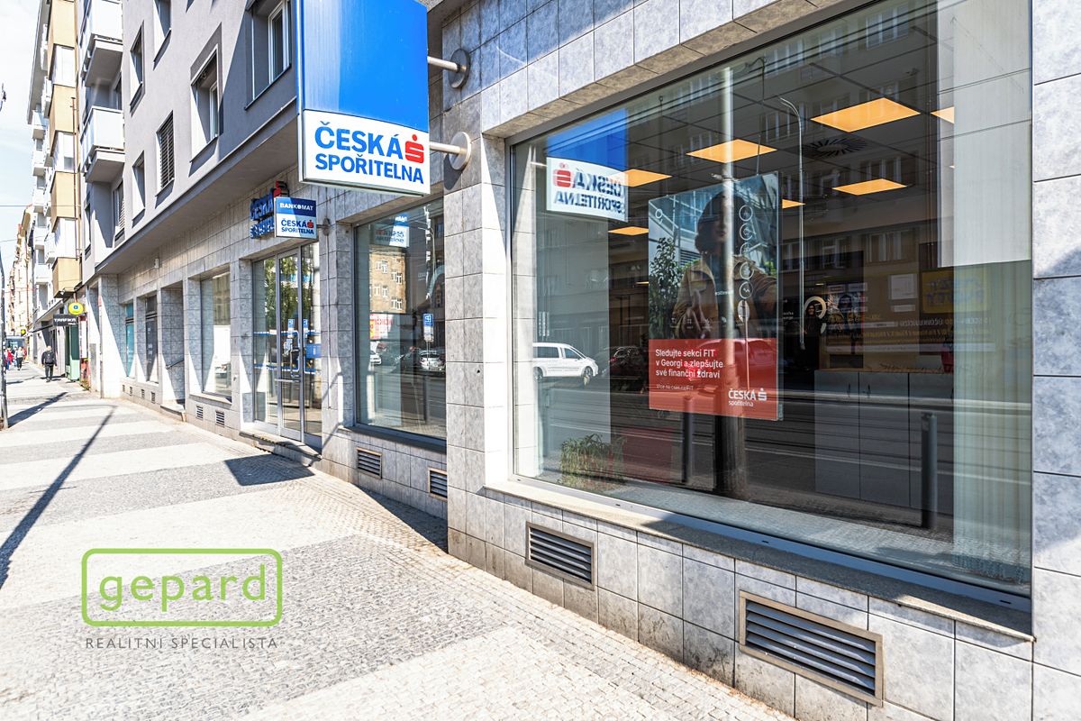 Pronájem obchodního prostoru 252 m²