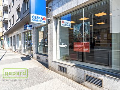 Pronájem obchodního prostoru 252 m²