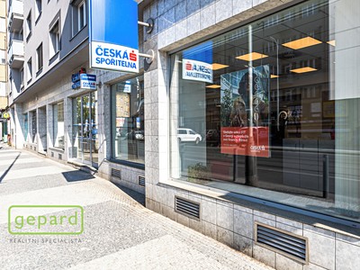 Pronájem obchodního prostoru 252 m²