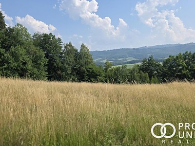 Prodej  pole 6 323 m²