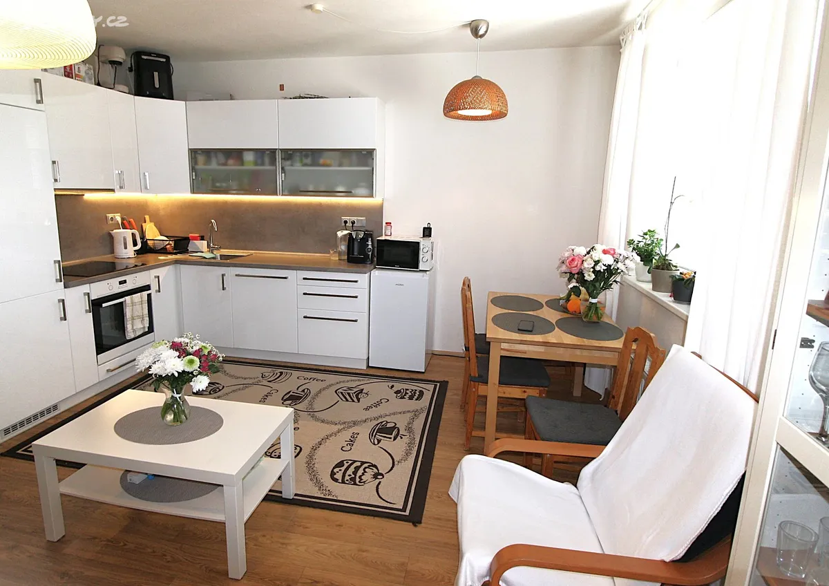 Pronájem bytu 2+kk 46 m² – pohled 2