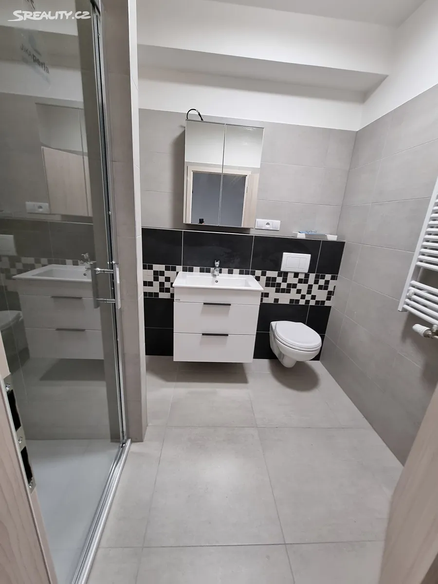 Pronájem bytu 1+kk 40 m² - Widok 3