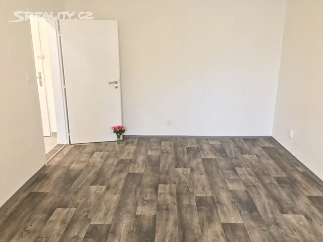 Pronájem bytu 1+1 36 m² – další