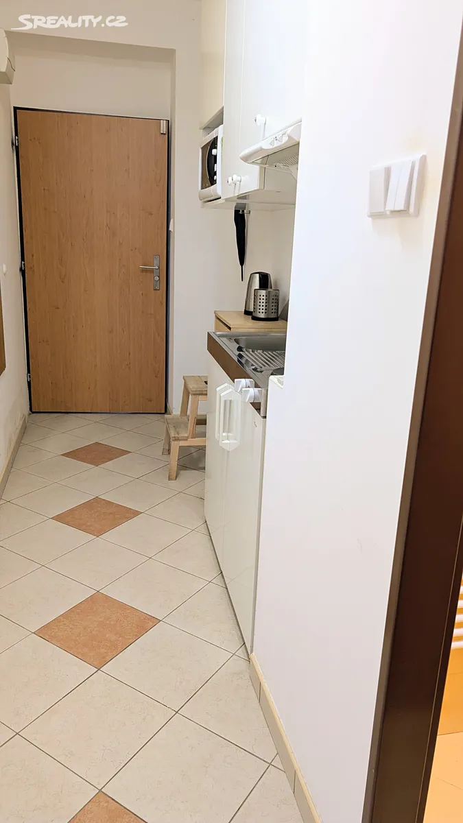 Pronájem bytu 1+kk 28 m² – další