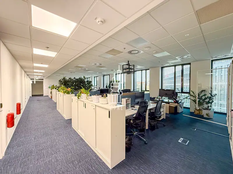 Pronájem kanceláře 337 m², Praha – náhled fotky 2