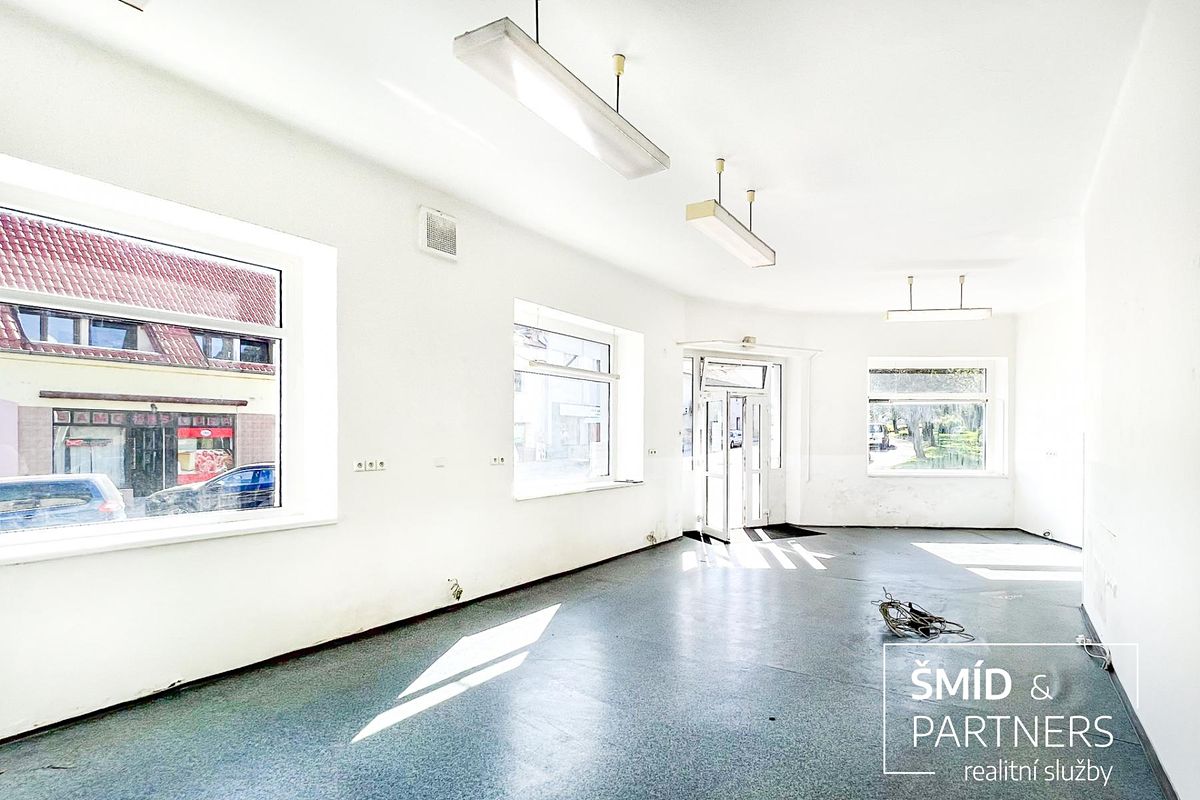 Prodej obchodního prostoru 100 m² – fotografie 4