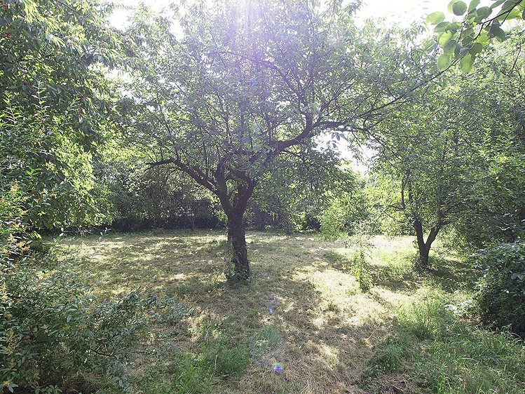 Prodej pozemku, 2 233 m² (2 z 11)