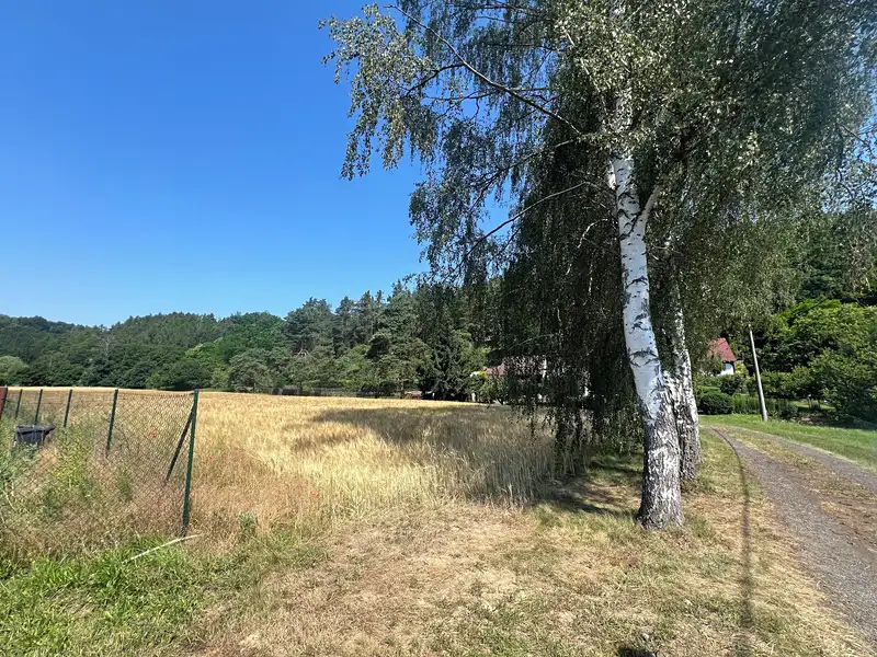 Prodej stavebního pozemku 1750 m², Medonosy – náhled fotky 3