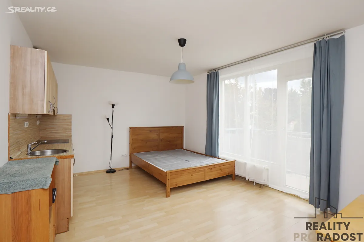 Pronájem bytu 1+kk 29 m², Praha