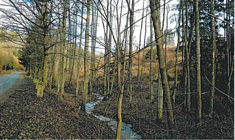 Prodej lesa 3057 m², Podmoklany – náhled fotky 1