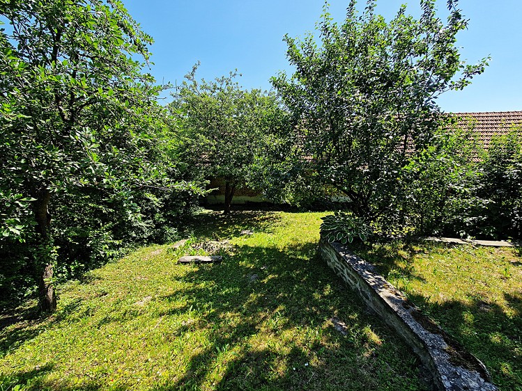 Ostatní
