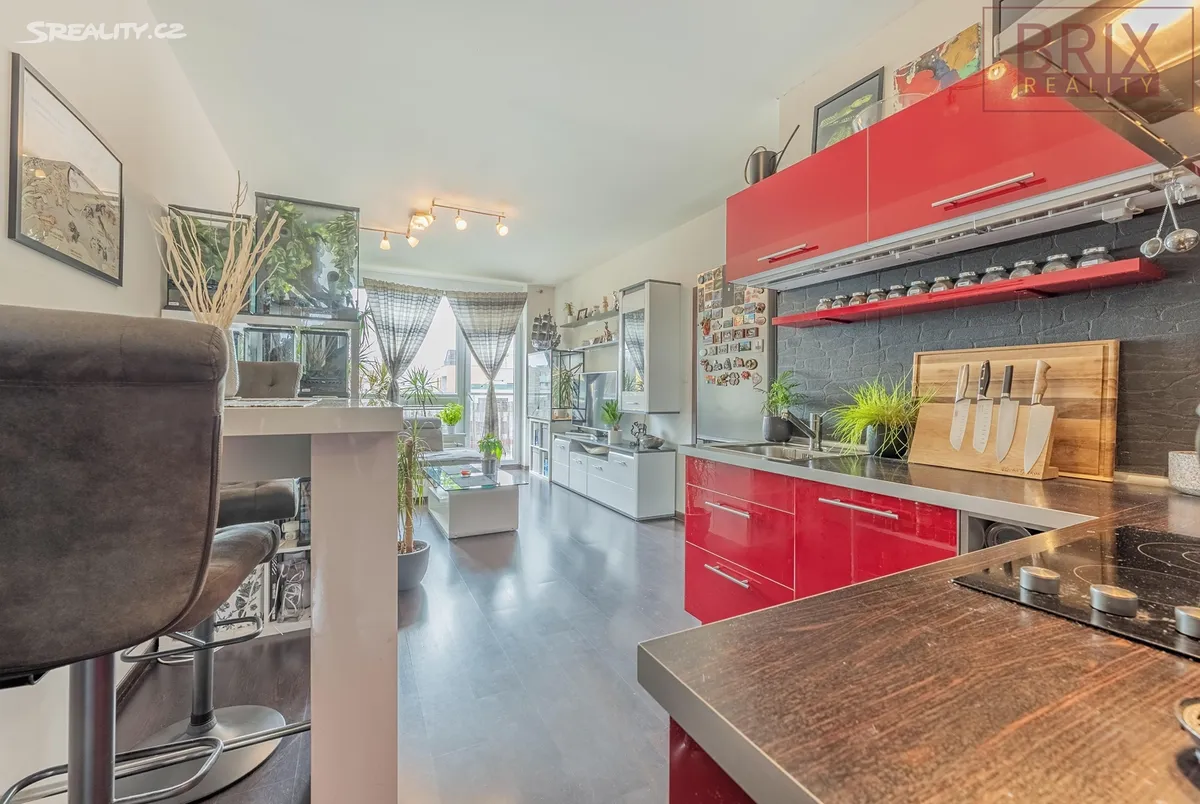 Pronájem bytu 2+kk 54 m² – pohled 6