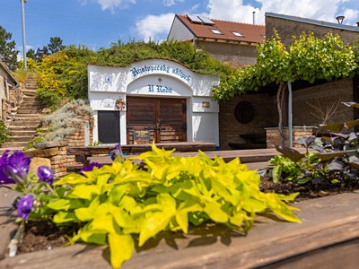 Prodej komerční nemovitosti 421 m²
