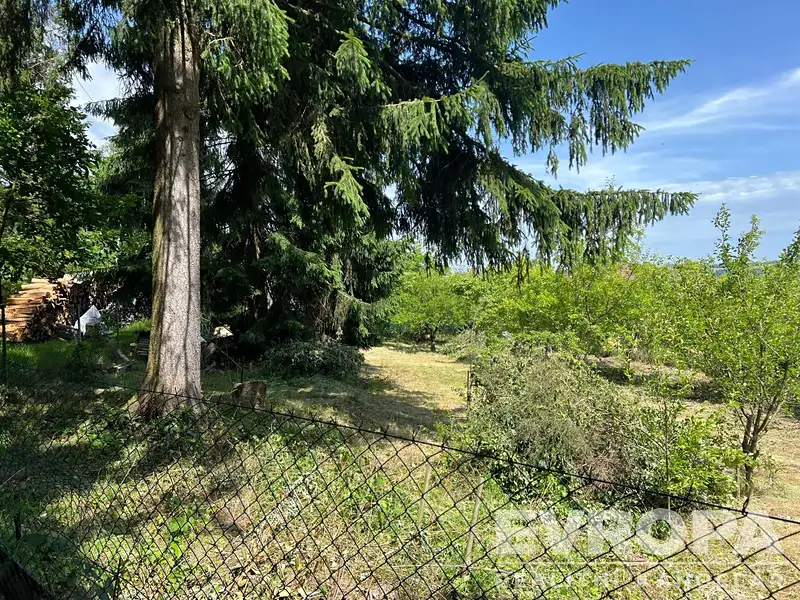 Prodej zahrady 1129 m², Cejle – náhled fotky 1