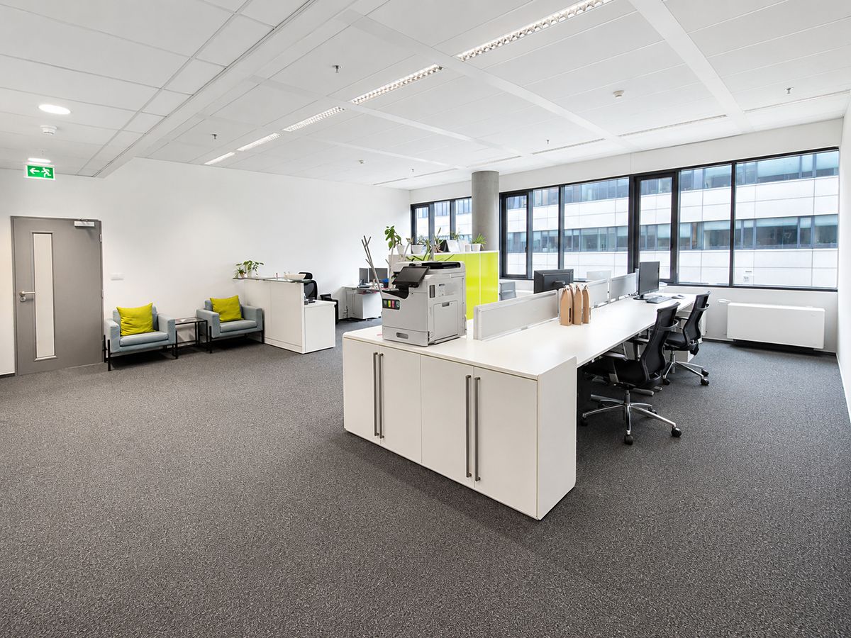 Pronájem kanceláře 246 m² – fotografie 4