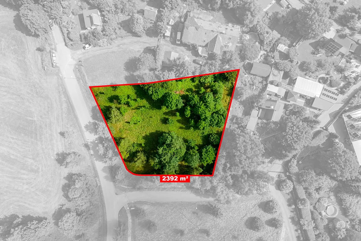 Fotka 5 z 10