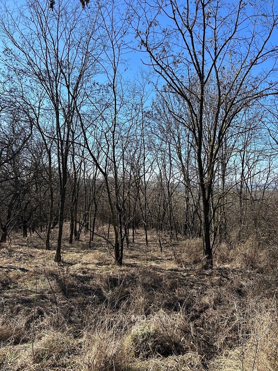 Prodej zahrady 4050 m²