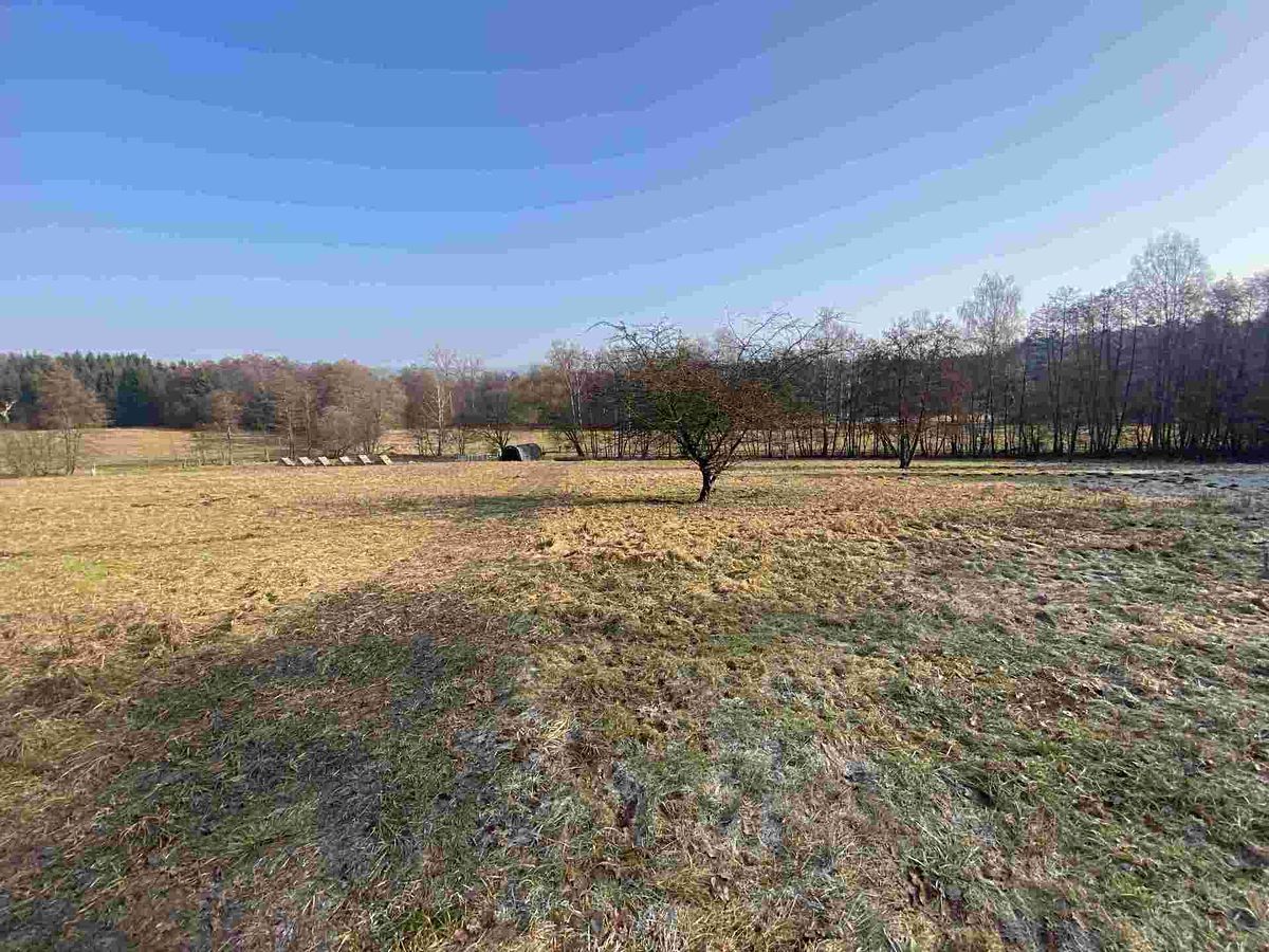 Prodej pole 5206 m² – fotografie 3