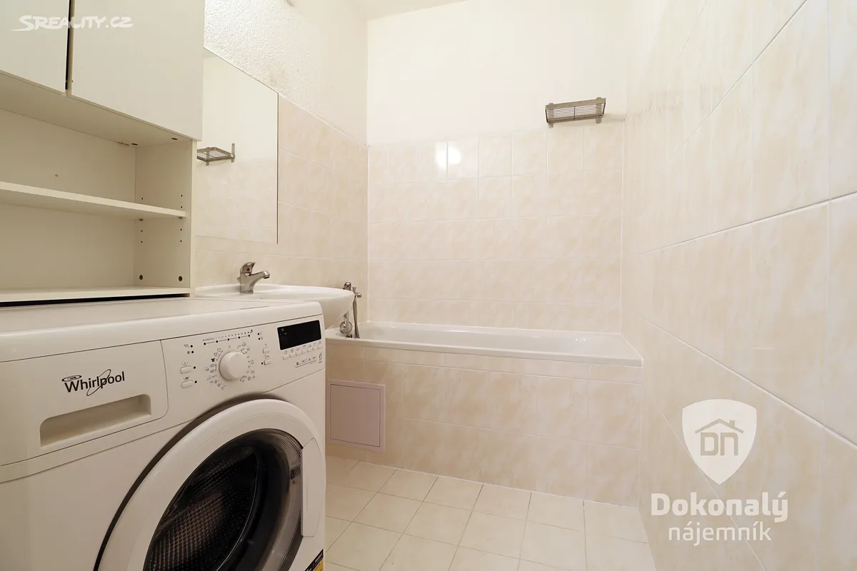 Pronájem bytu 1+kk 40 m² – pohled 6