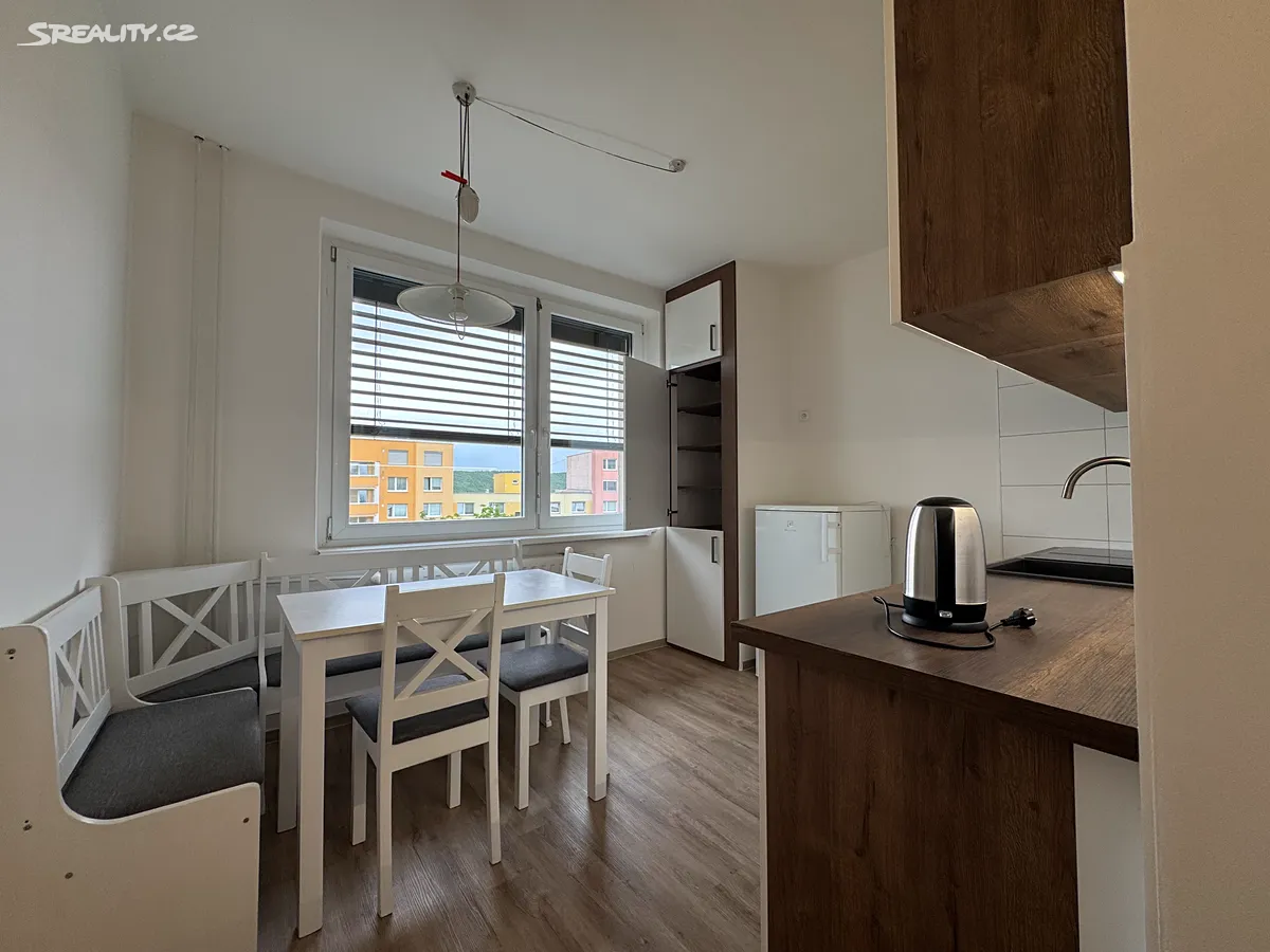 Pronájem bytu 1+1 40 m², Brno