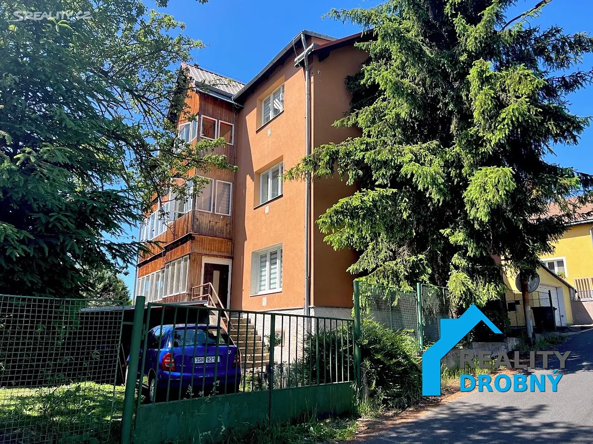 Pronájem bytu 1+1 42 m², Děčín