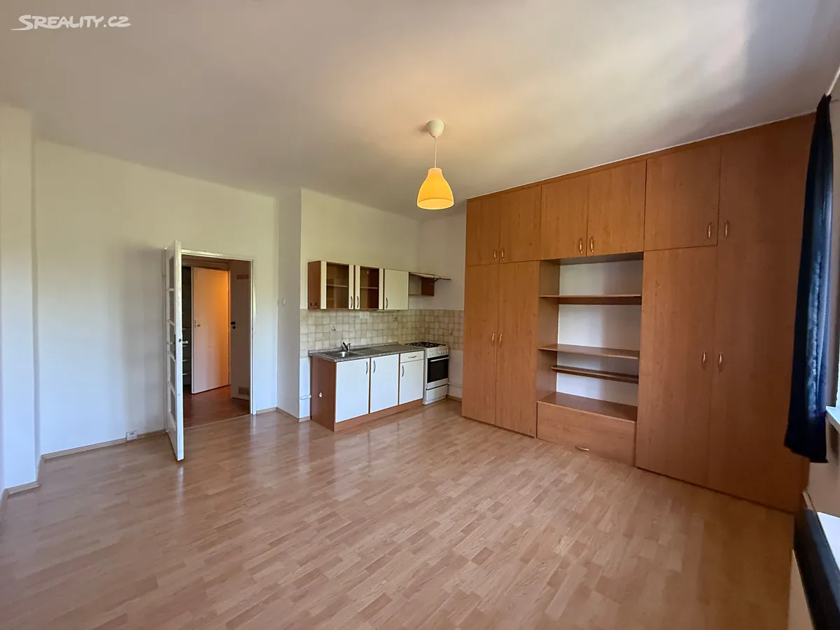 Pronájem bytu 1+kk 30 m² – pohled 2