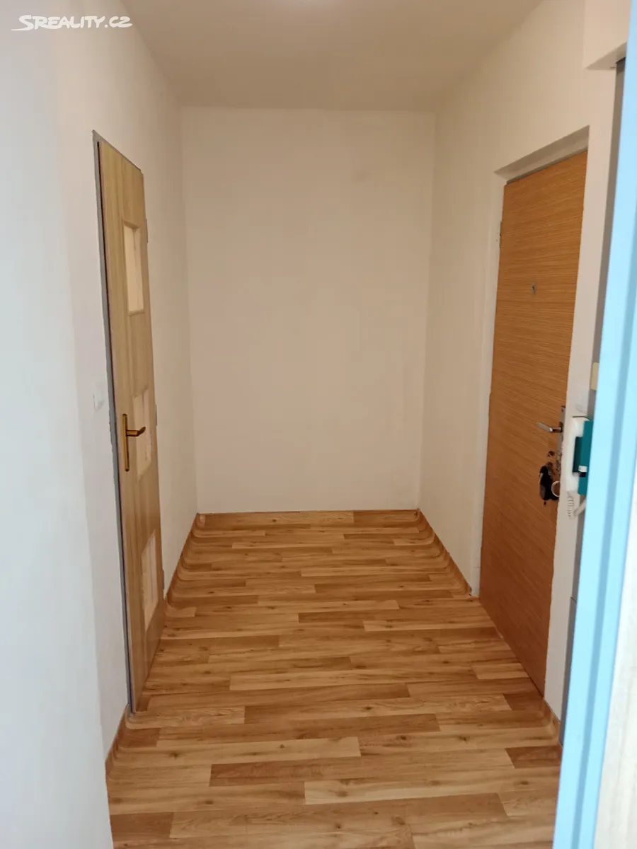 Pronájem bytu 2+kk 43 m² – další