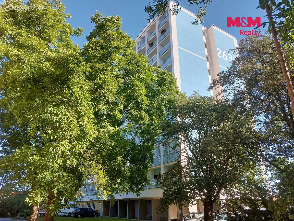 Pronájem bytu 1+1 46 m² – další