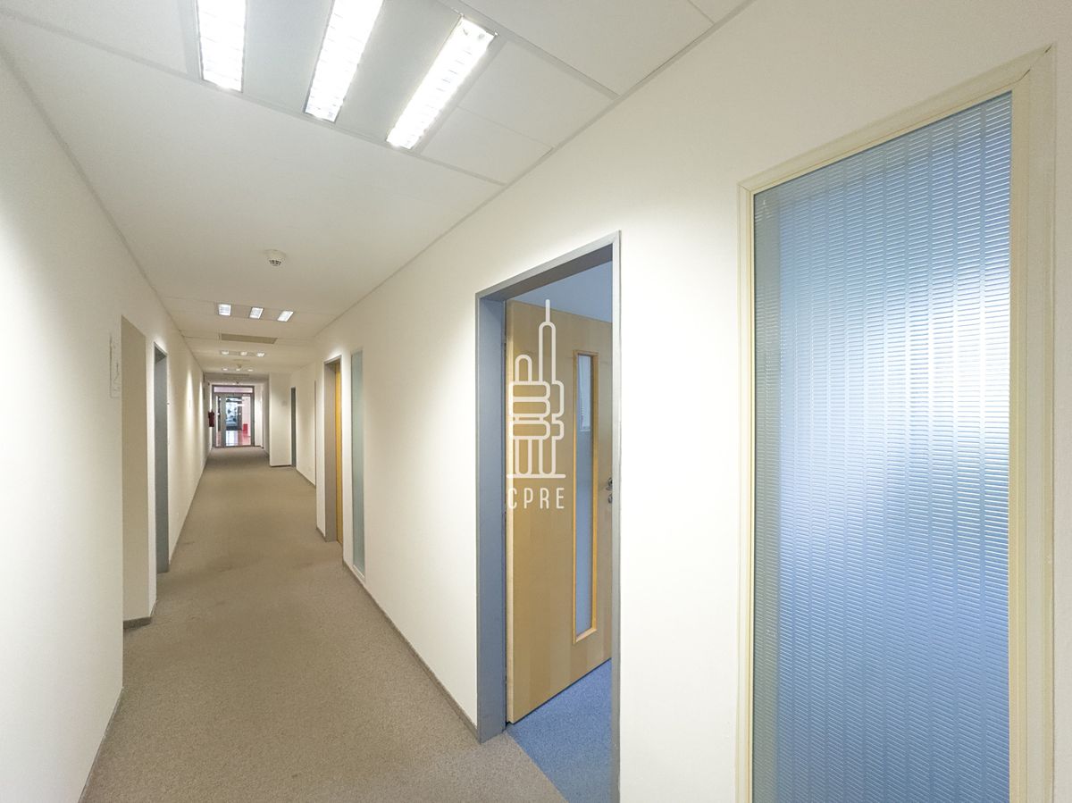 Pronájem kanceláře 202 m² – fotografie 5