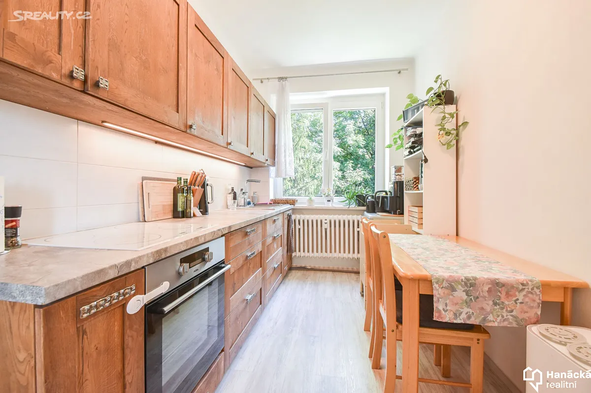 Pronájem bytu 2+1 53 m² - Widok 5