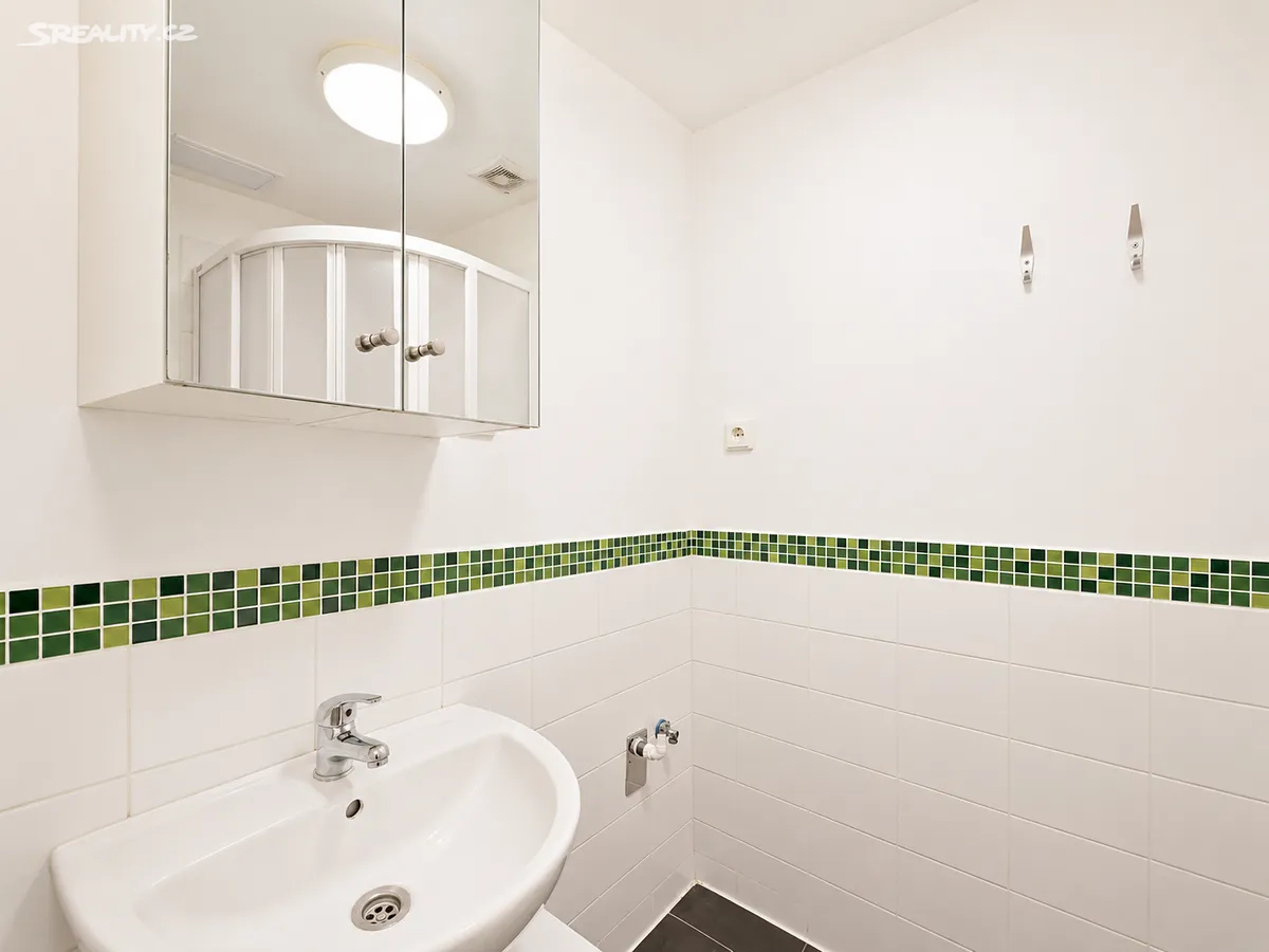 Pronájem bytu 1+kk 30 m² – pohled 5
